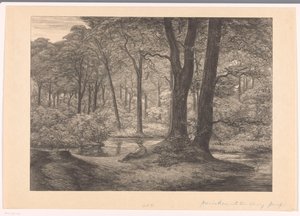 Ansicht der Hunnenschans auf der Veluwe von Simon Moulijn