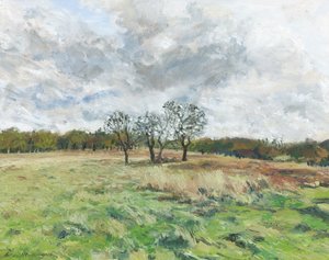 Richmond Park von Simon Neville