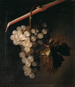 Ein Traubenbündel vor einer Steinmauer, 1709