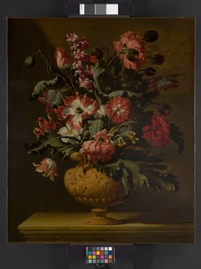 Eine Vase mit Blumen, vor 1710 von Simon Peeterz Verelst