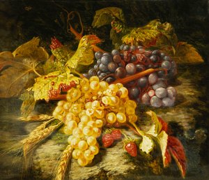 Trauben, bärtiger Weizen und Erdbeeren auf einem felsigen Sims, 1849