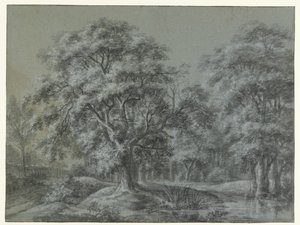 Waldlandschaft mit Wasser von Simon de Vlieger