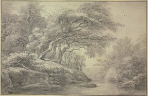 Bach am Waldrand von Simon de Vlieger