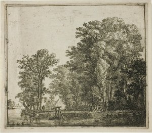 Wald in der Nähe eines Kanals