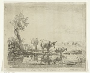 Weidelandschaft mit Kühen am Wasser von Simon van den Berg