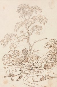 Baum bei Stufen