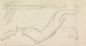Studie für Buntglas, ein Otter und zwei Fische
