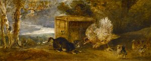 Eine Henne verteidigt ihre Küken gegen den Angriff einer Katze