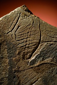 Elegante Gravur eines menschlichen Profils auf einem prähistorischen Kalksteinversteck gefunden