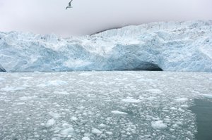 Eisbrocken von nahegelegenen Gletschern treiben im arktischen Meer, Svalbard-Inseln, Norwegen von Sisse Brimberg