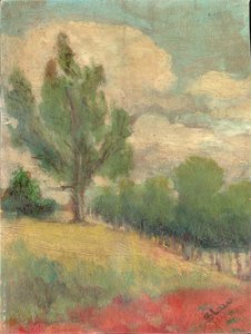 Padina mit großem Baum