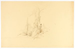 Toter Baum und weidendes Fohlen