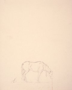 Traum eines Bronchos #1