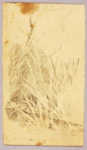 Laubwerk von Solon H. Borglum