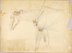 Pferdestudie von Solon H. Borglum