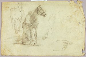 Pferd und Reiter