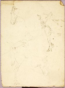 Pferde von Solon H. Borglum