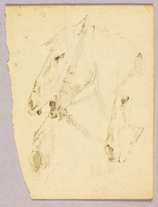 Pferdeköpfe von Solon H. Borglum