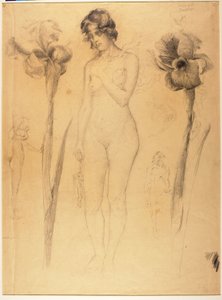 Akt und Iris