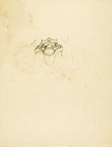 Becken von Solon H. Borglum
