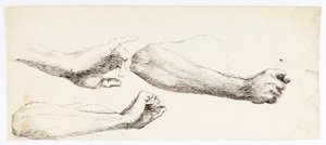 Drei Armstudien von Solon H. Borglum
