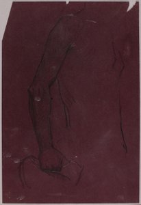 Torso, Studie für Reitermonument