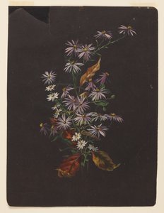 Studie eines Herbststraußes von Sophia L. Crownfield