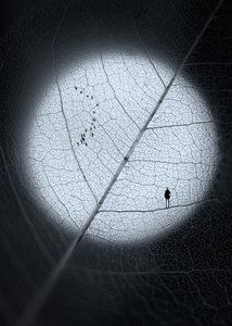 Mann auf Mondblatt