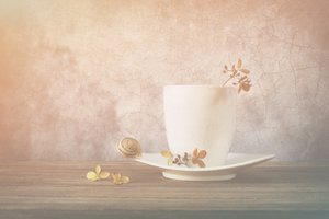 Ruhige Schnecke Teetasse