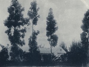 Eine niederländische Farm, in der Nähe der New Croesus Gold Mining Company von South African Photographer