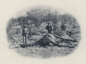 Großwildjagd im Transvaal von South African Photographer