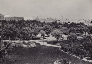 Cadiz: Parque Genovés von Spanish Photographer