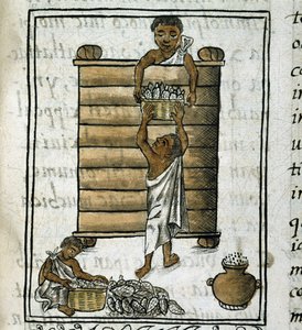 Codex der Eroberung Mexikos: Maisernte von Spanish School