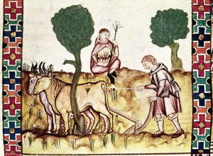 Fol.237r Ein Bauer lehrt seinen Sohn, ein Feld zu pflügen von Spanish School