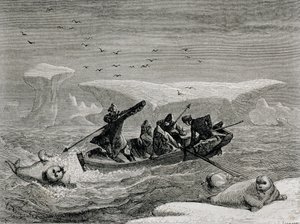 Walrossjagd mit Harpunen auf den Spitzbergen, Svalbard-Archipel, Illustration aus 