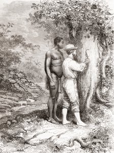 Jules Crevaux, während seiner Erkundung von Französisch-Guayana im Jahr 1878, schnitzt seine Initialen in einen Baum am Ufer des Oyapock- oder Oiapoque-Flusses