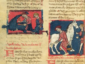 Ms 214 fol.38r Behandlung eines Pferdes mit Räude, aus Libro de Menescalcia y Albeyteria von Juan Alvarez, ca. 1390