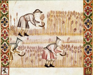 Der Bauer erntet Weizen (Detail)