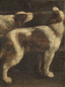 Zwei Hunde