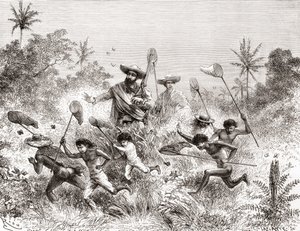 Édouard François André beim Schmetterlingsfangen in Villavicencio, Venezuela während seiner botanischen Expedition in den Ausläufern der Anden 1875-76 von Spanish School