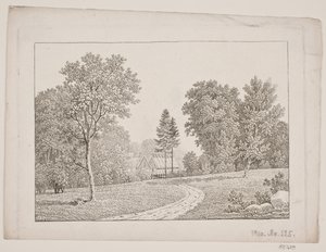 Landschaft