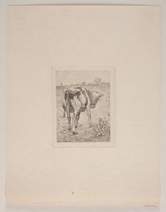 Ein Kalb von Søren Lund