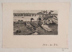 Enten von Søren Lund