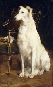 Ein Borzoi neben einem Stuhl von St. George Hare