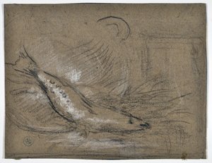 Fischstudie von Stanislas Torrents y de Amat