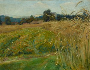 Landschaft in der Nähe von Krakau
