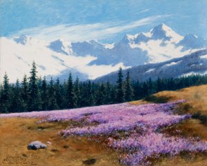 Krokusse mit schneebedeckten Bergen im Hintergrund