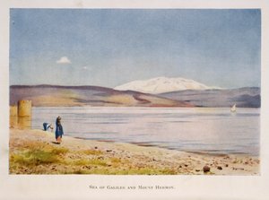 See Genezareth in Richtung Hermonberg (in Syrien), Palästina 1906