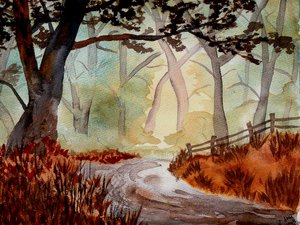 Der verwunschene Wald