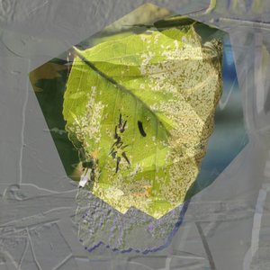 Abstraktes Grünes Blatt von Stefan Fransson